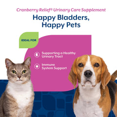 NaturVet Cranberry Relief Plus Echinacea label closeup emphasizes cranberry and echinacea blend for urinary and immune support.