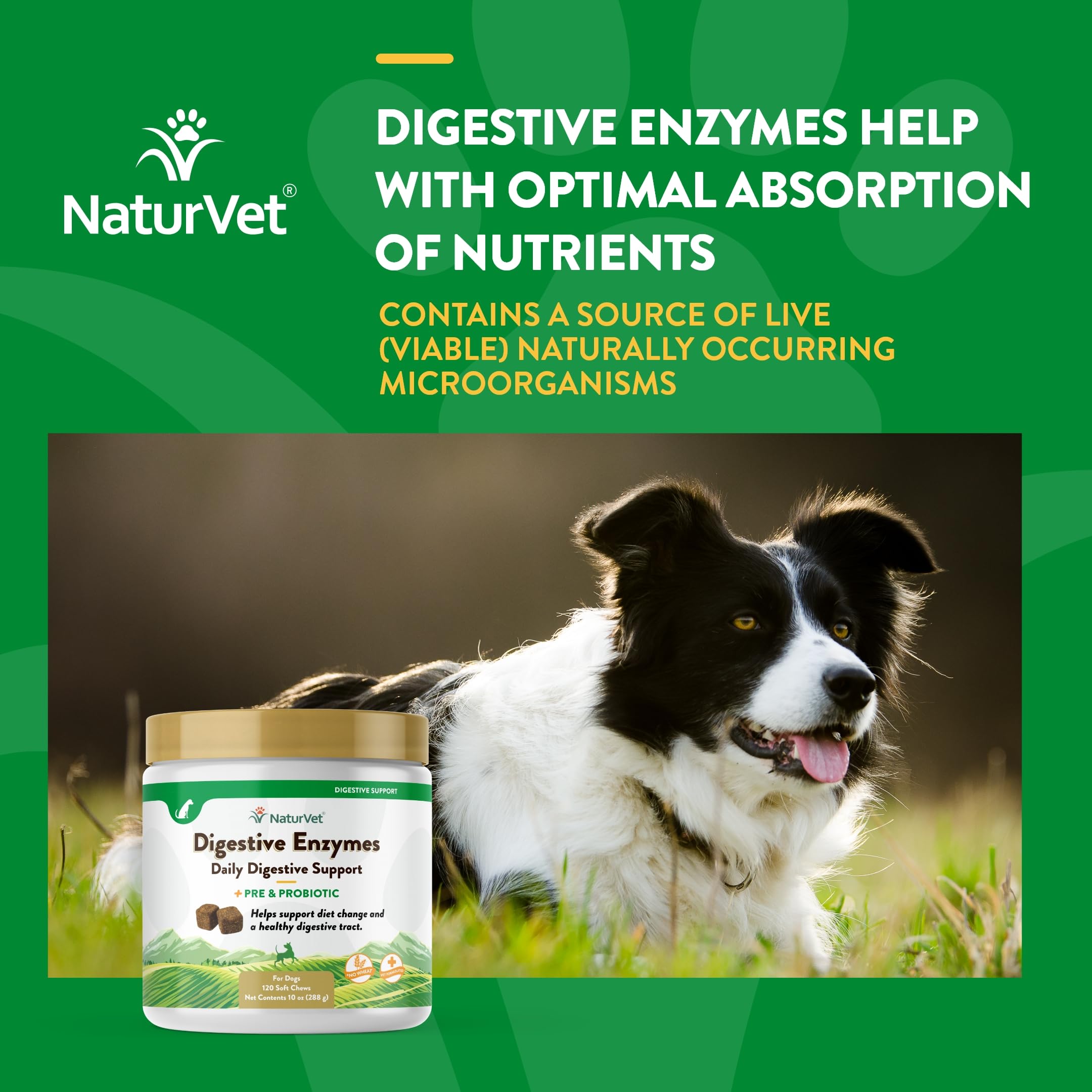 NaturVet diet-change-support for pets image implies smoother transitions during meals.