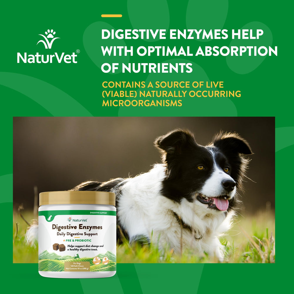 NaturVet diet-change-support for pets image implies smoother transitions during meals.