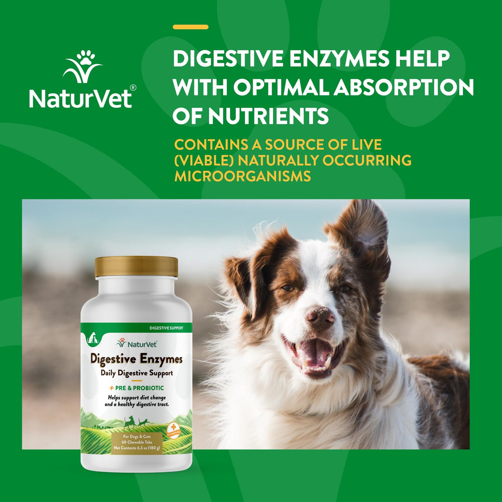 NaturVet Digestive Enzymes bottle with dogs illustration for canine digestion support.