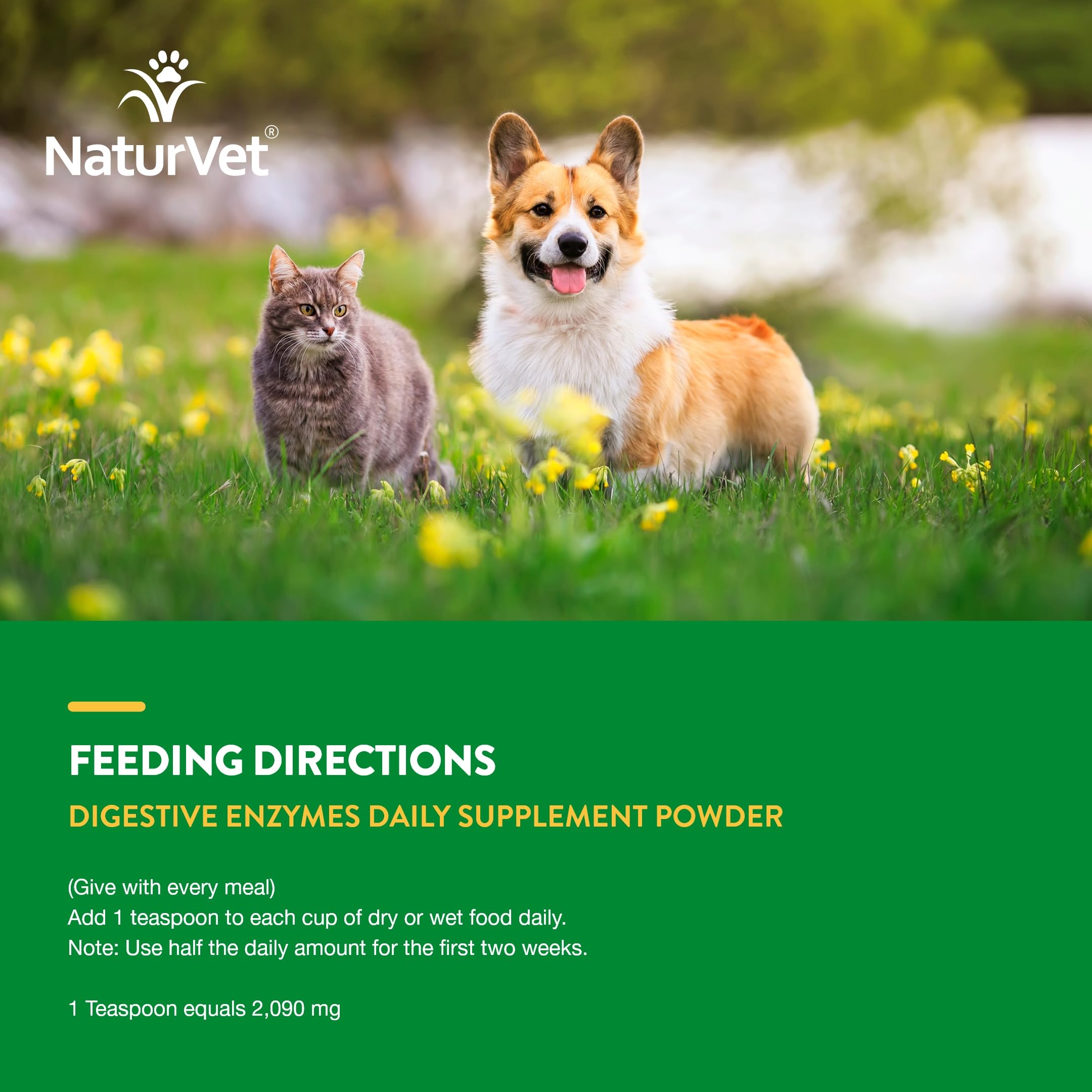 NaturVet Digestive Enzymes diet-change support scene with feeding bowl.