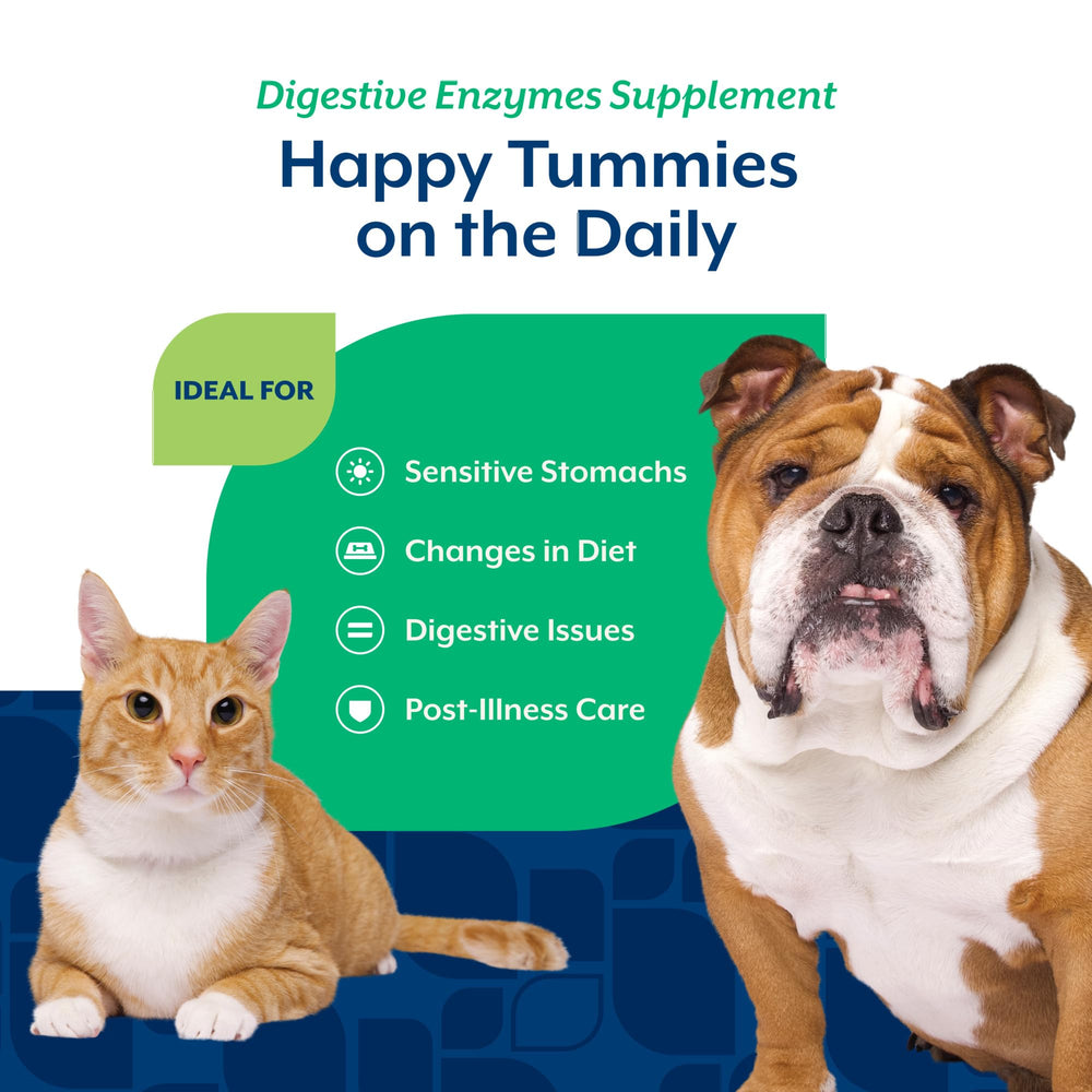 NaturVet Digestive Enzymes being sprinkled into dog food aids diet changes