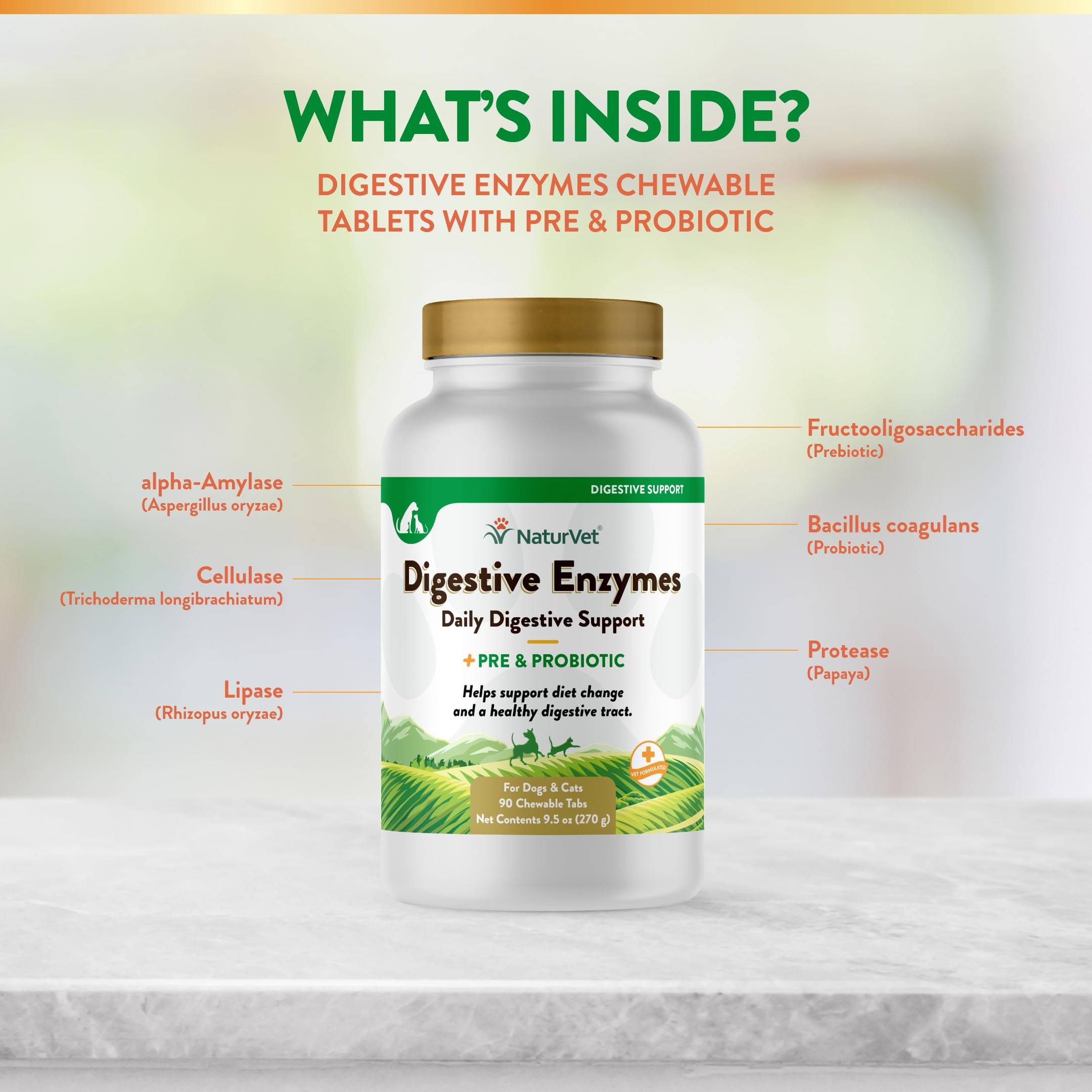 NaturVet Digestive Enzymes Plus Probiotics chews near dog bowls at meal time
