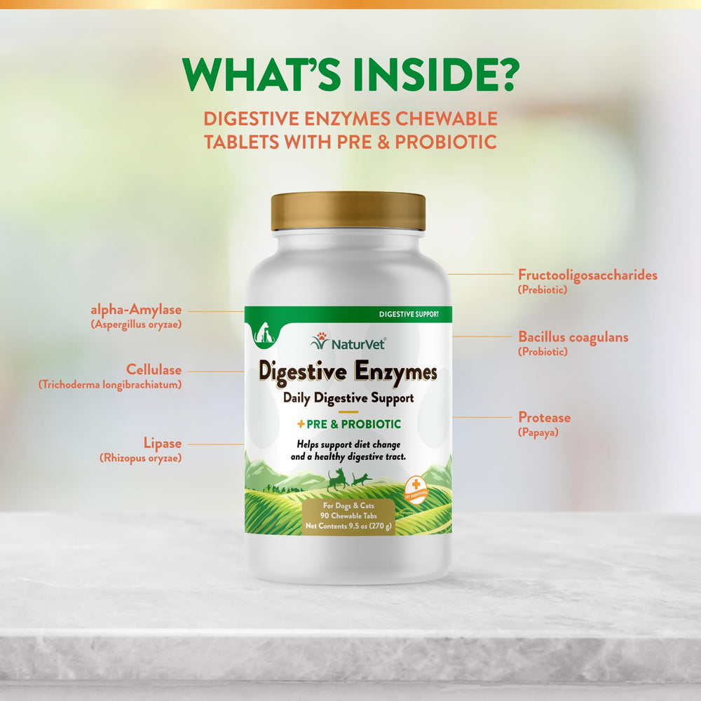 NaturVet Digestive Enzymes Plus Probiotics chews near dog bowls at meal time