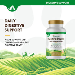 NaturVet Digestive Enzymes label-front closeup showing natural enzyme blend and probiotic components.