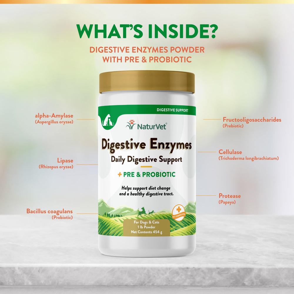 NaturVet Digestive Enzymes powder being dispensed from the bottle for meals.