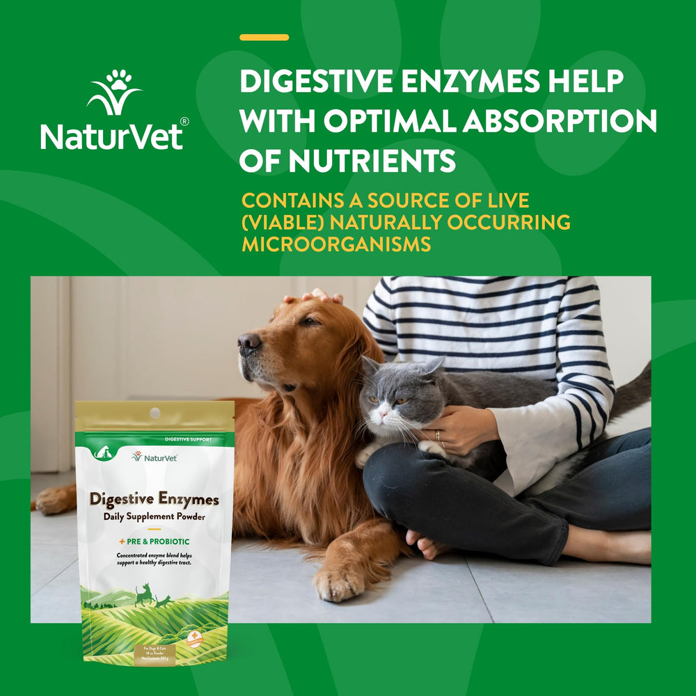NaturVet Digestive Enzymes probiotic blend conveys gut-friendly support for pets.