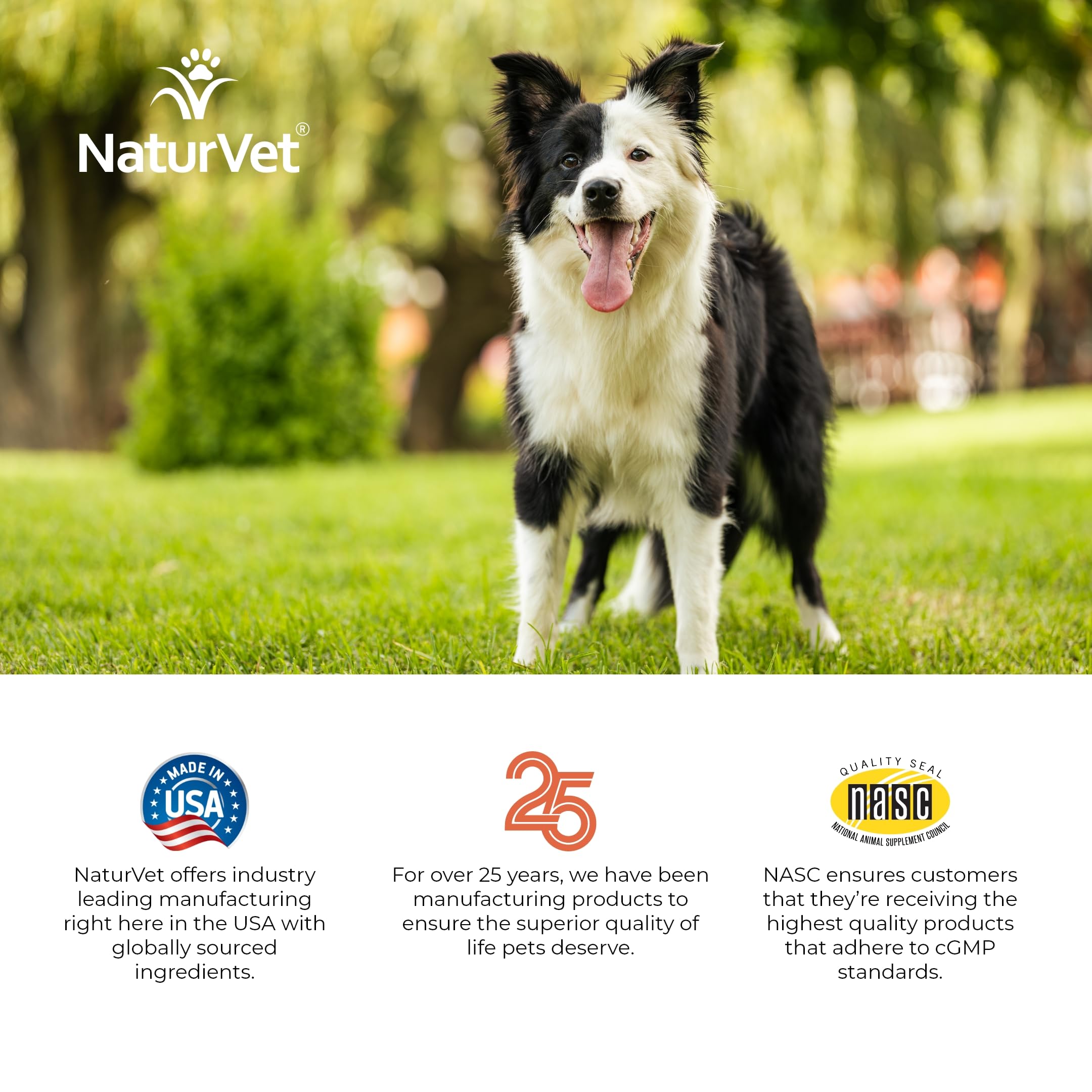 NaturVet Digestive Enzymes use with meals concept image showing administration during meals.