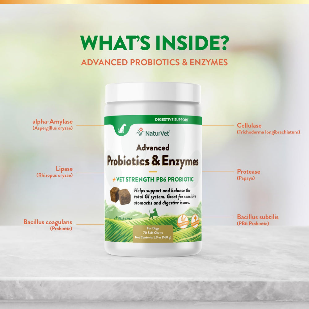 NaturVet digestive-health jar with label signaling probiotic support for tummies.