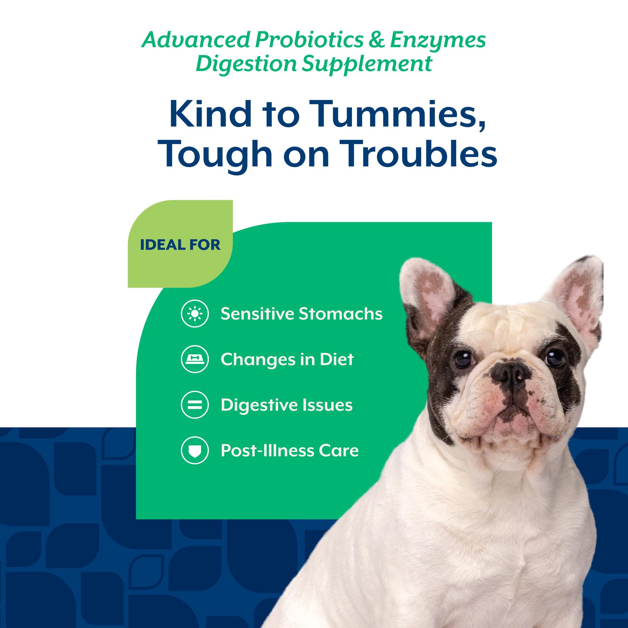 NaturVet digestive-support jar scene illustrating convenient daily dosage for dogs.