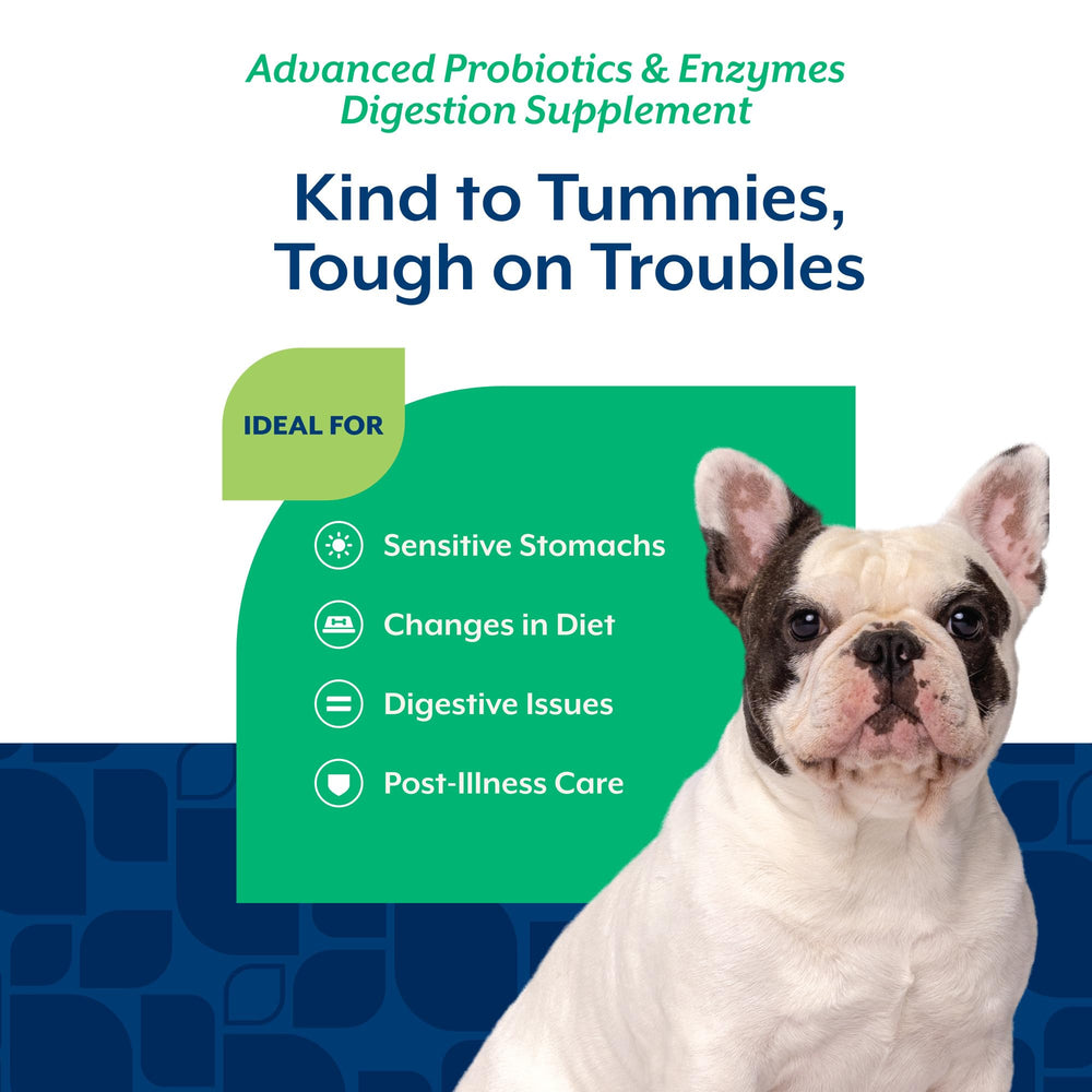 NaturVet digestive-support jar scene illustrating convenient daily dosage for dogs.