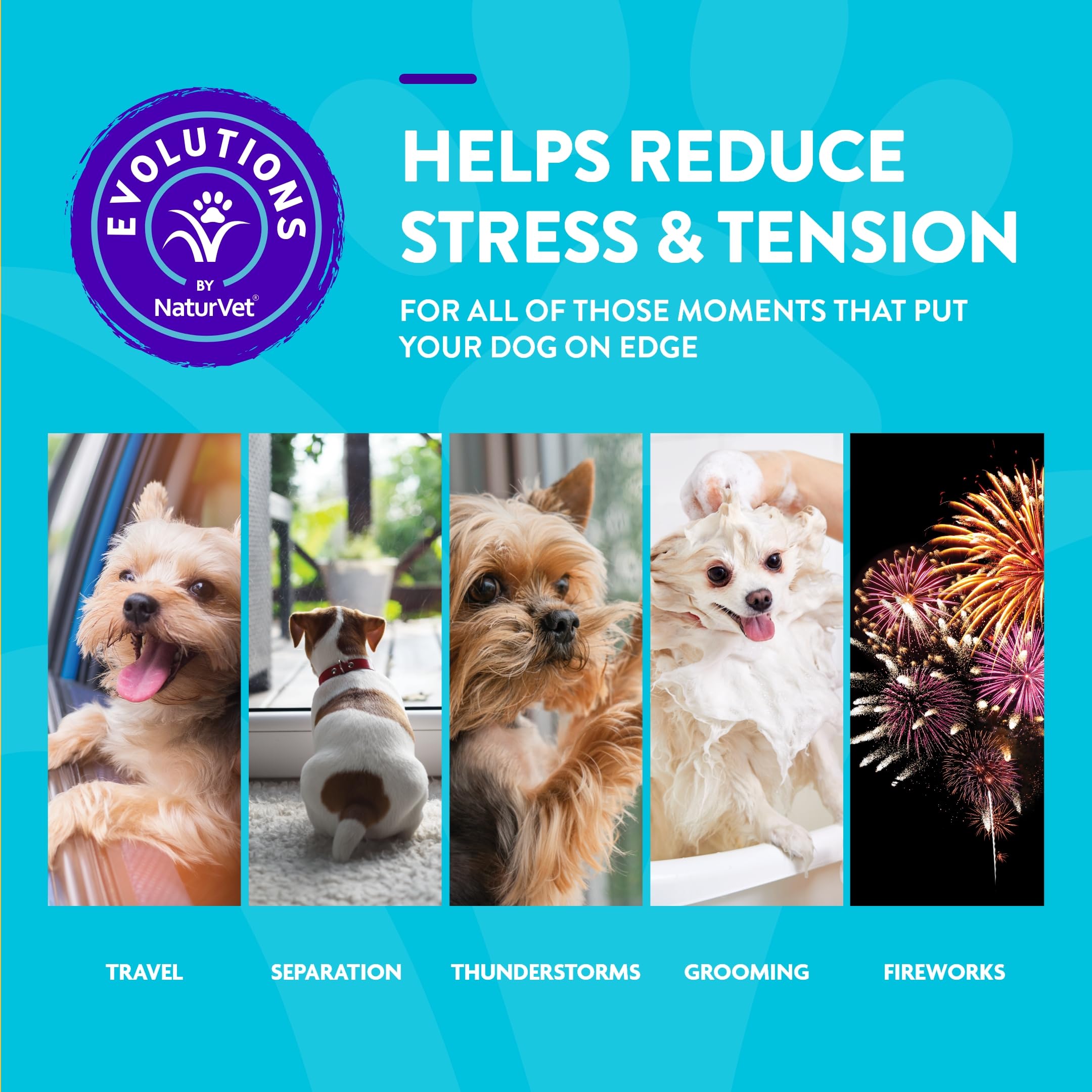 NaturVet Evolutions dog with bottle shows calming aid for anxiety