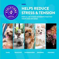 NaturVet Evolutions dog with bottle shows calming aid for anxiety