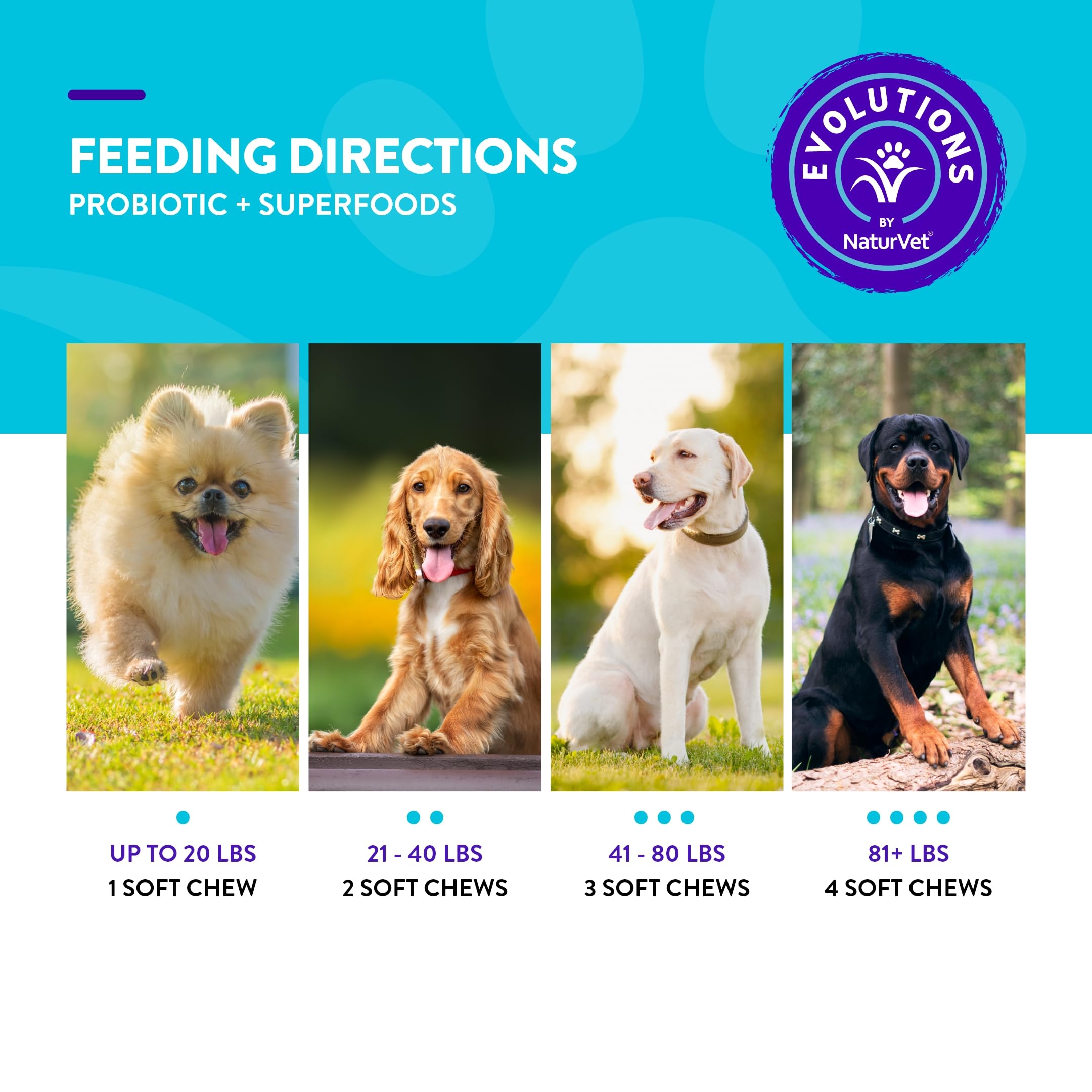 NaturVet Evolutions USA-made label close-up signaling trusted production standards.