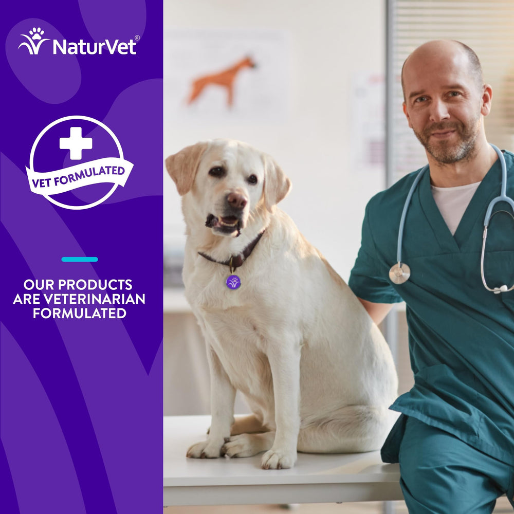 NaturVet Evolutions chews in mouth close-up implying tasty flavor for regular use.