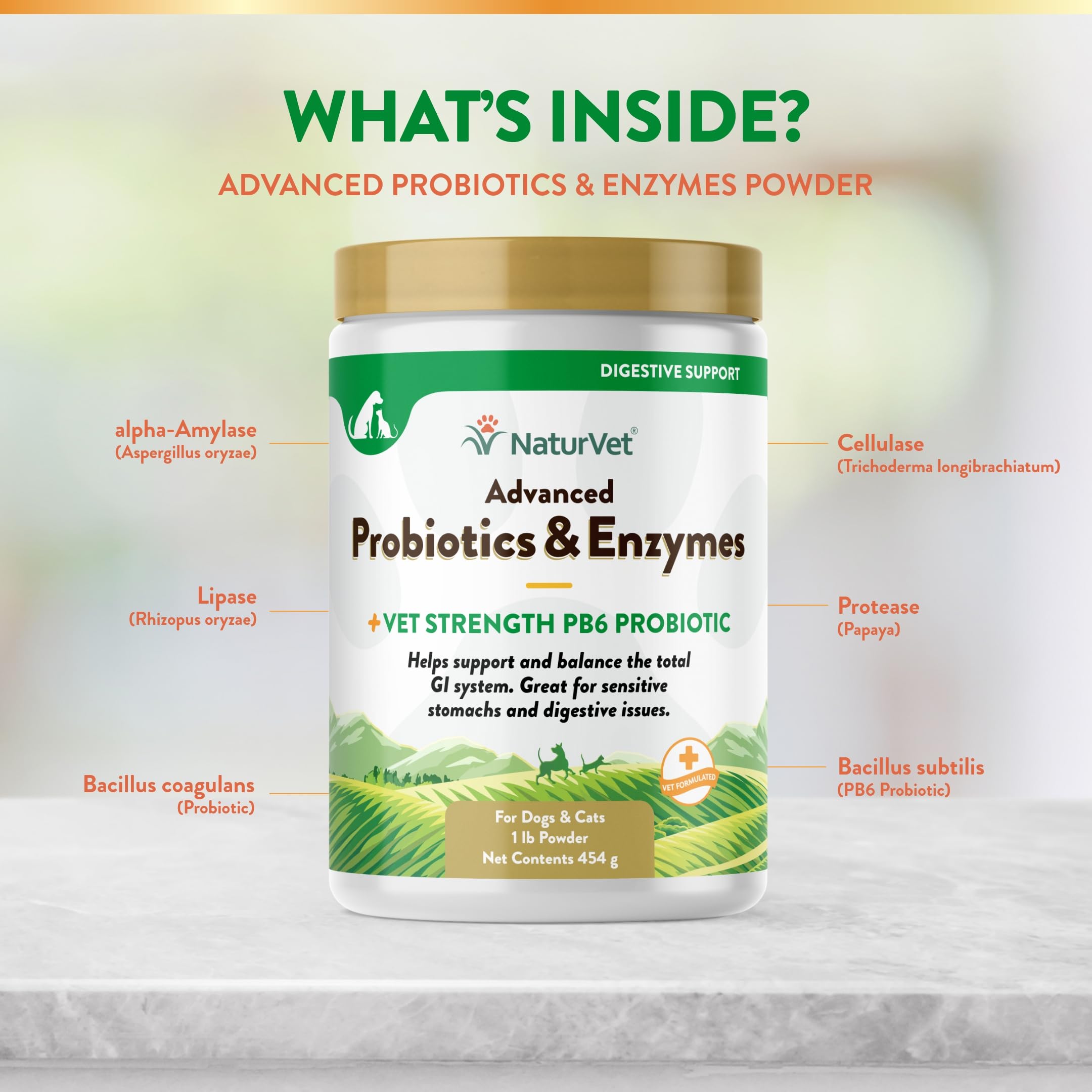 NaturVet food transition digestive support for easier diet changes