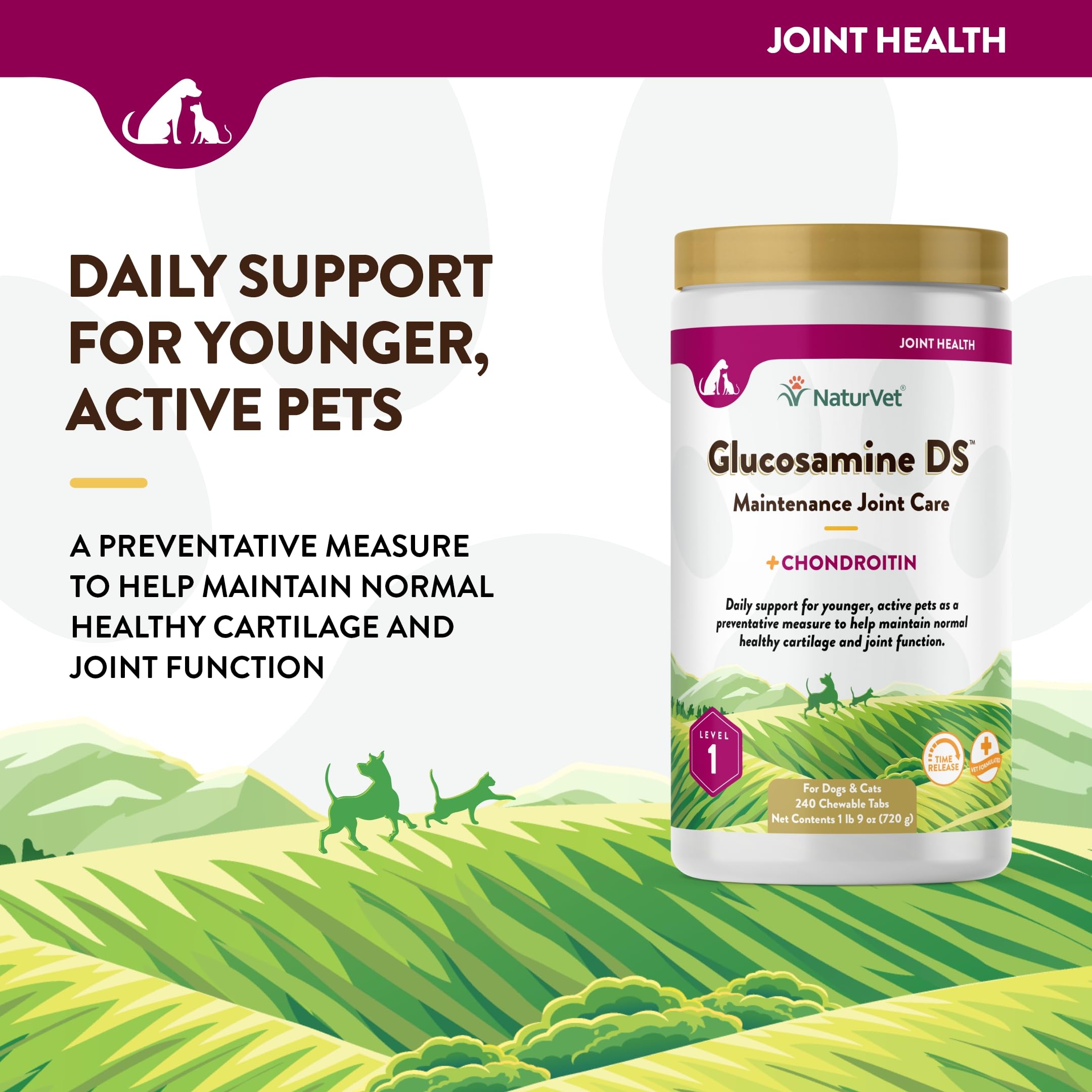 NaturVet Glucosamine DS chewable tablets presented as tasty joint support treats