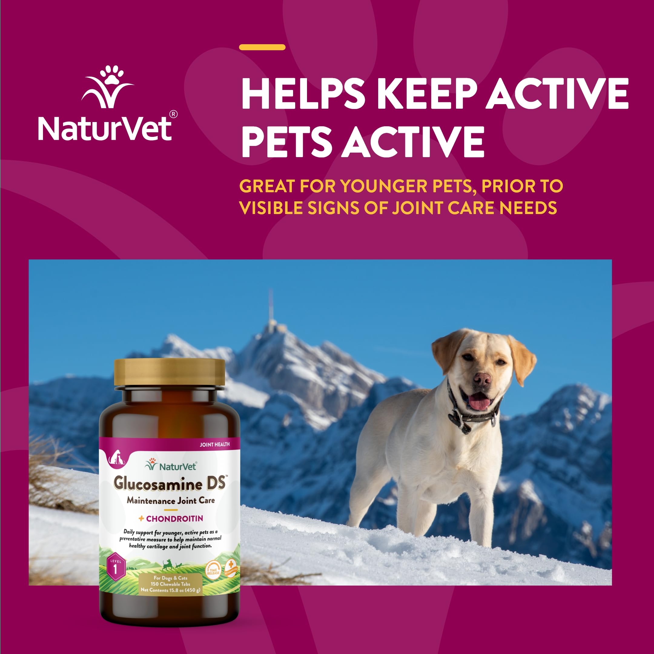 NaturVet glucosamine-ds-dogs-cats-using pet owners observe improved activity during daily walks.