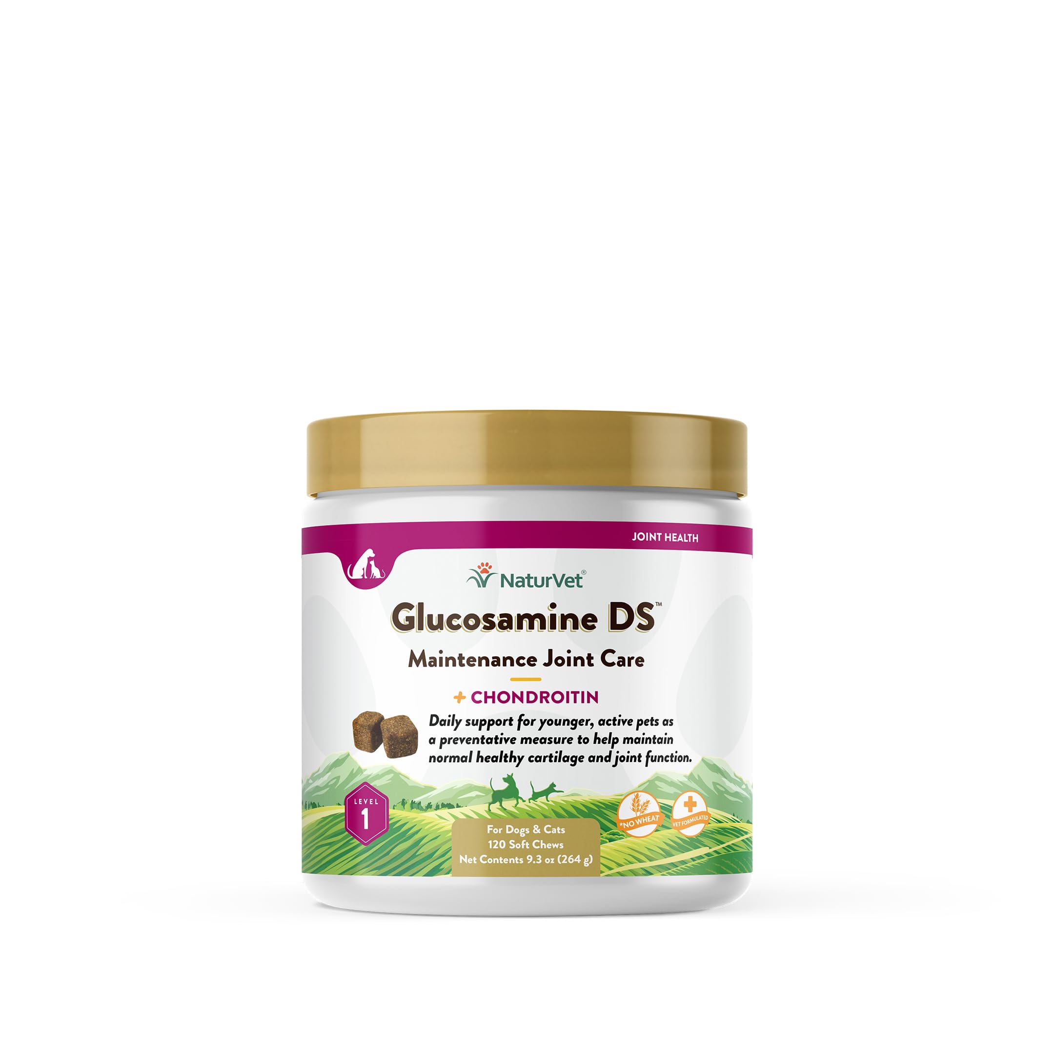 NaturVet Glucosamine DS Level 1 bottle label, signaling USA-made joint maintenance for pets.
