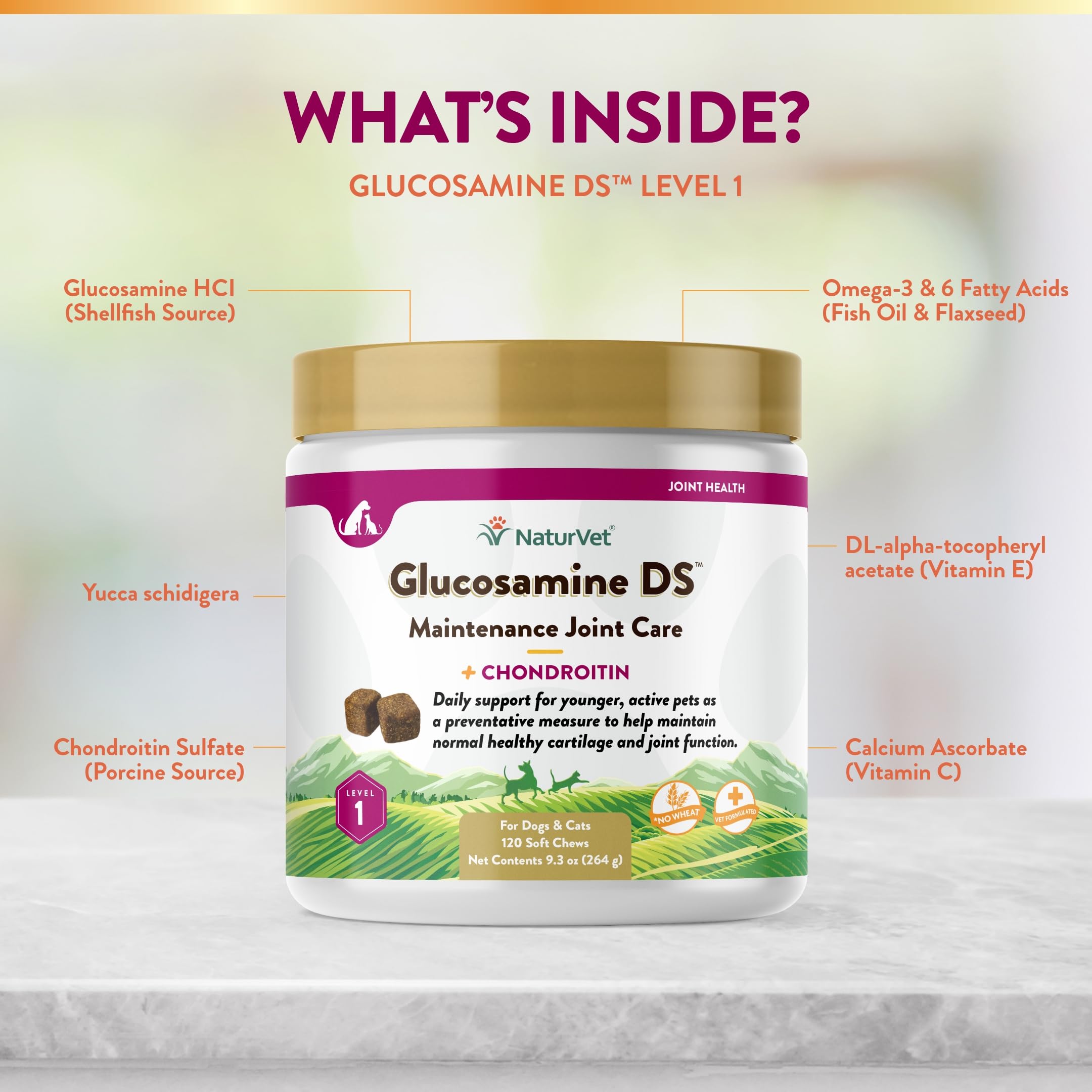 NaturVet Glucosamine DS Level 1 daily-use routine image for everyday pets.