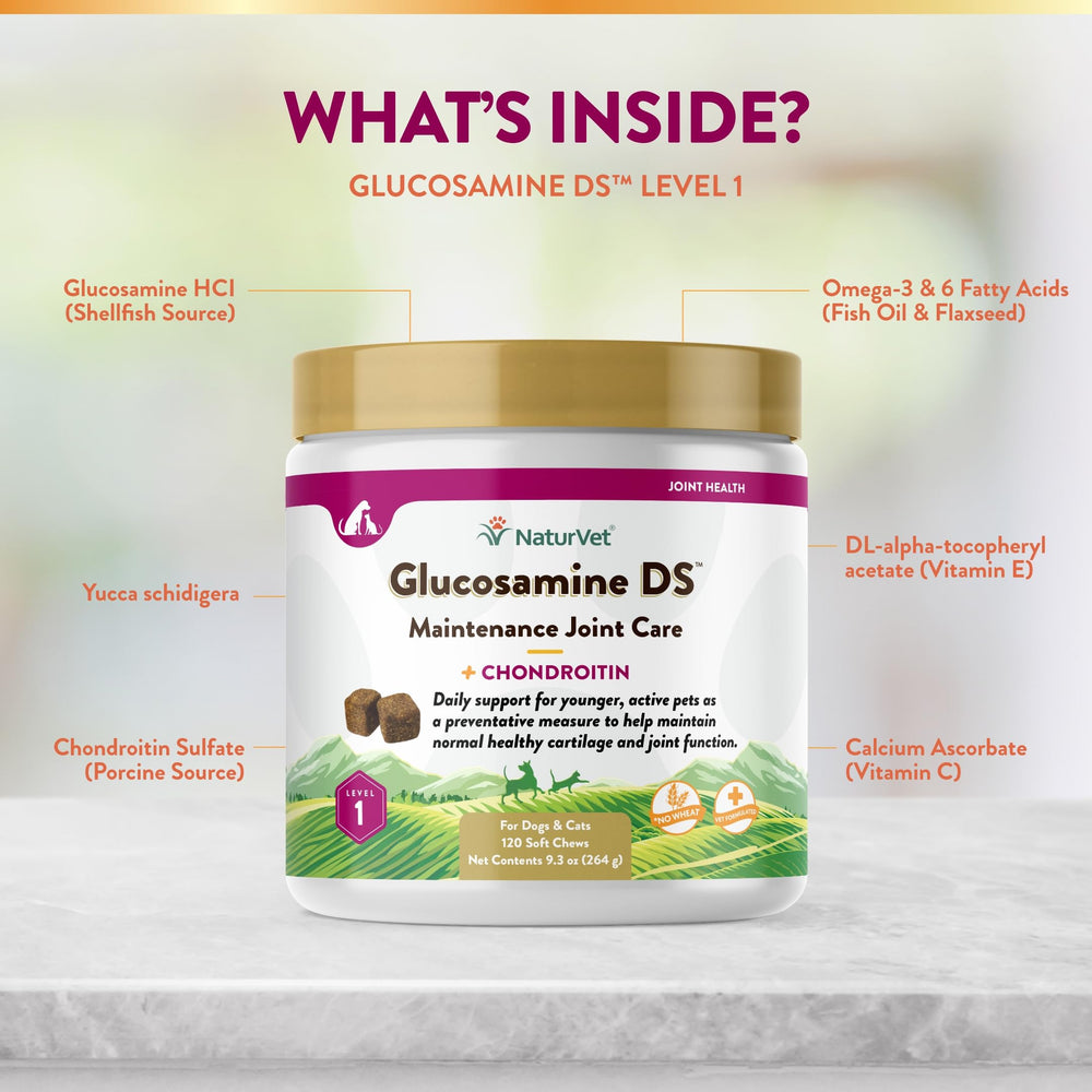 NaturVet Glucosamine DS Level 1 daily-use routine image for everyday pets.