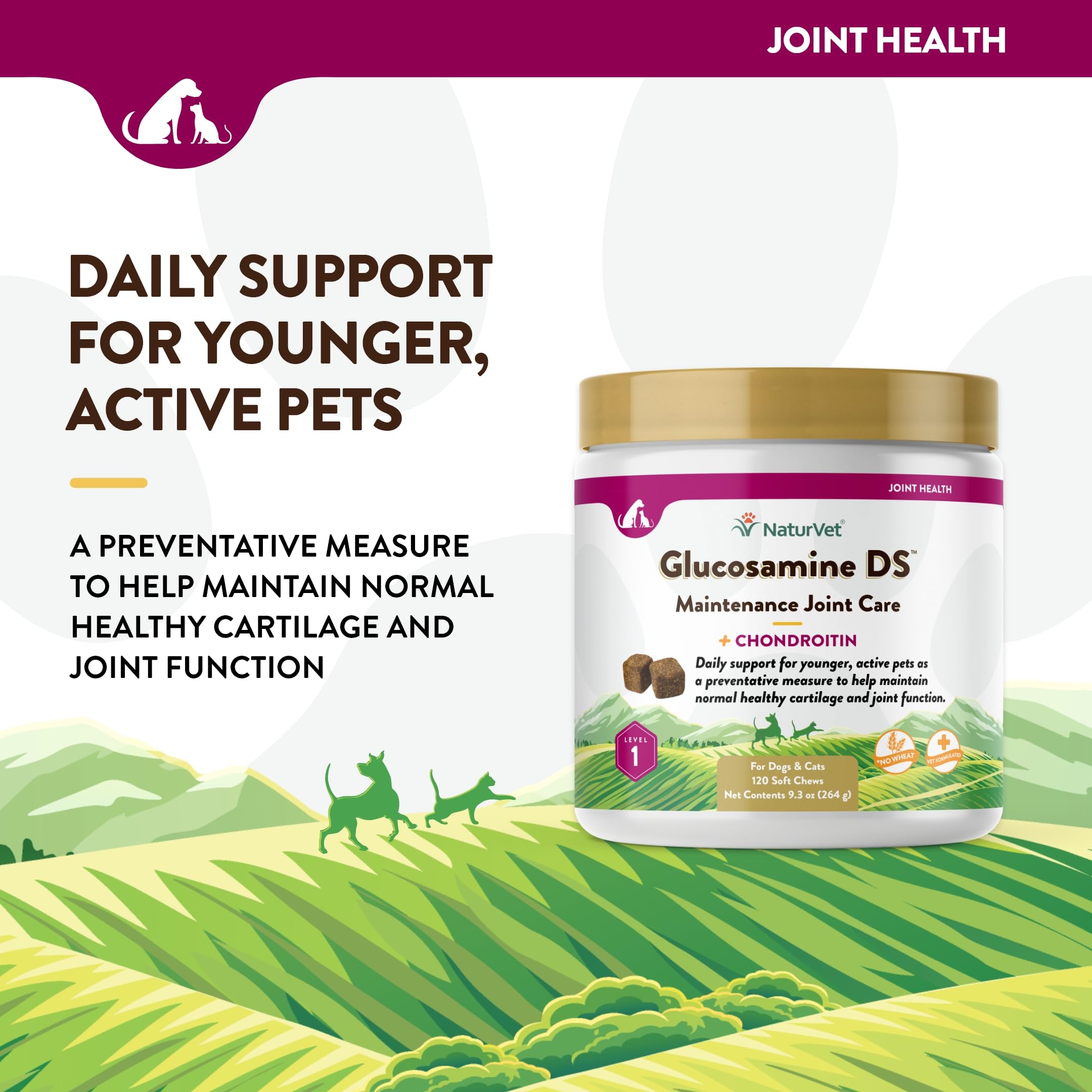 NaturVet Glucosamine DS Level 1 ingredients chart highlights glucosamine and chondroitin.
