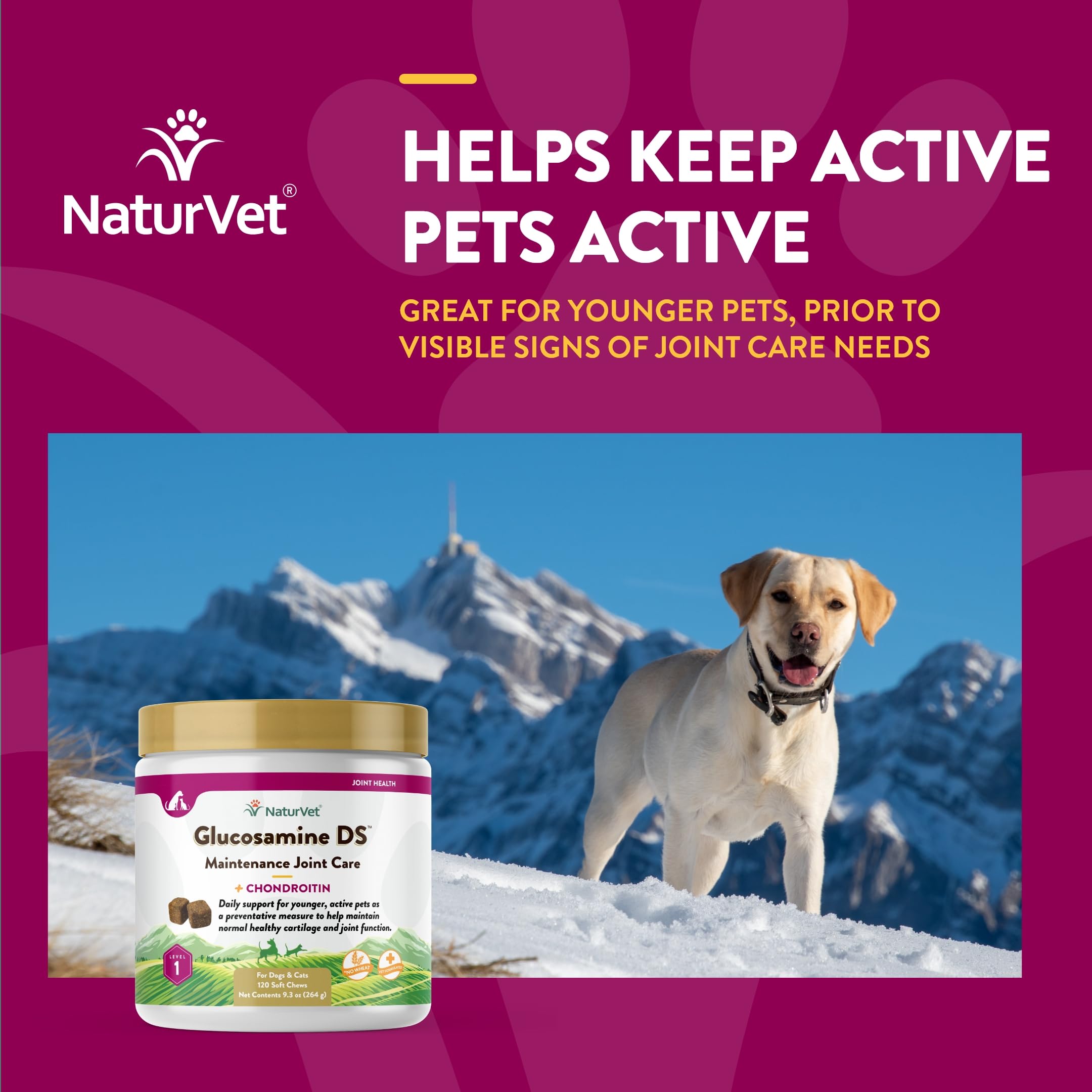 NaturVet Glucosamine DS Level 1 USA-made seal on label.