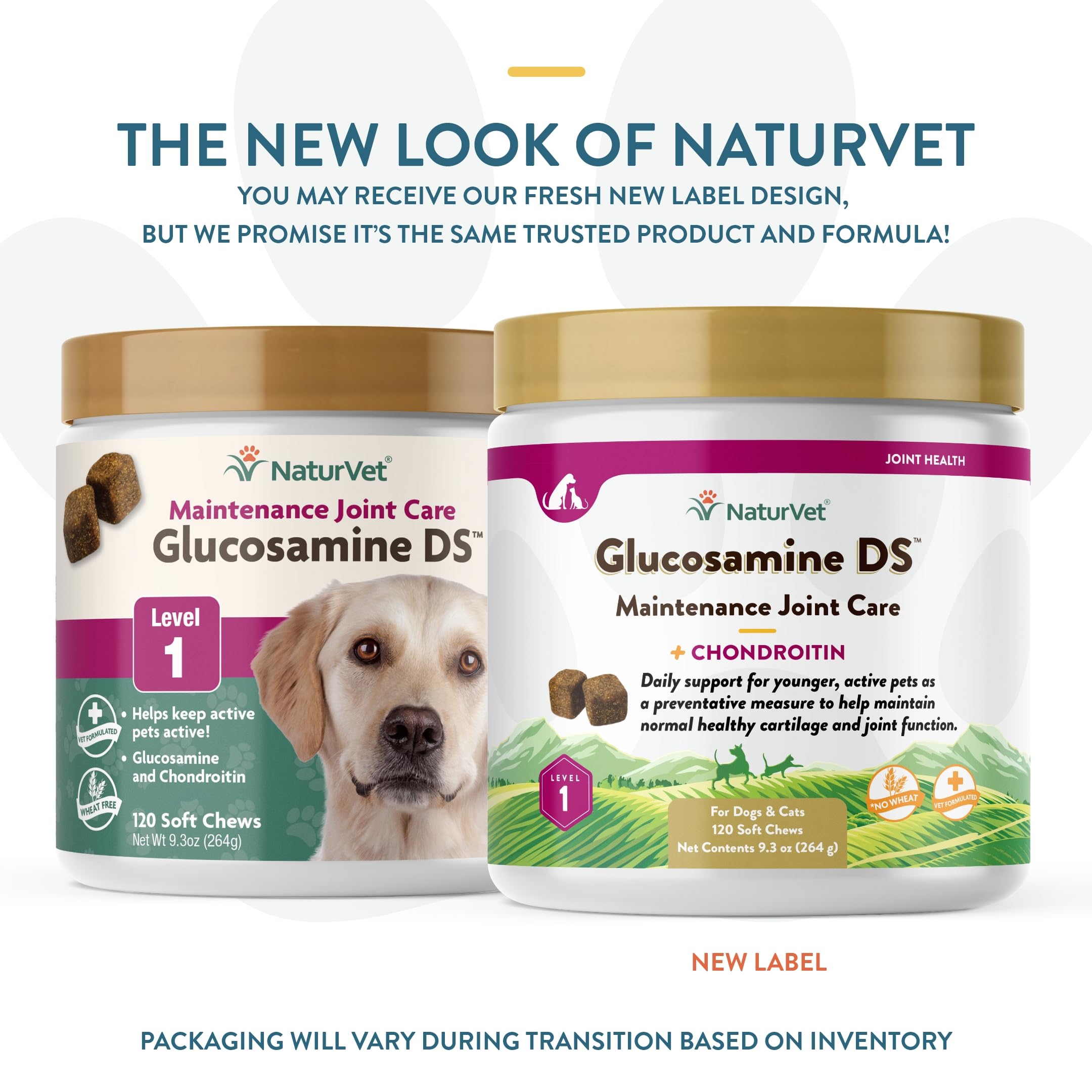 NaturVet Glucosamine DS Level 1 soft chews close-up, appealing texture for daily use.