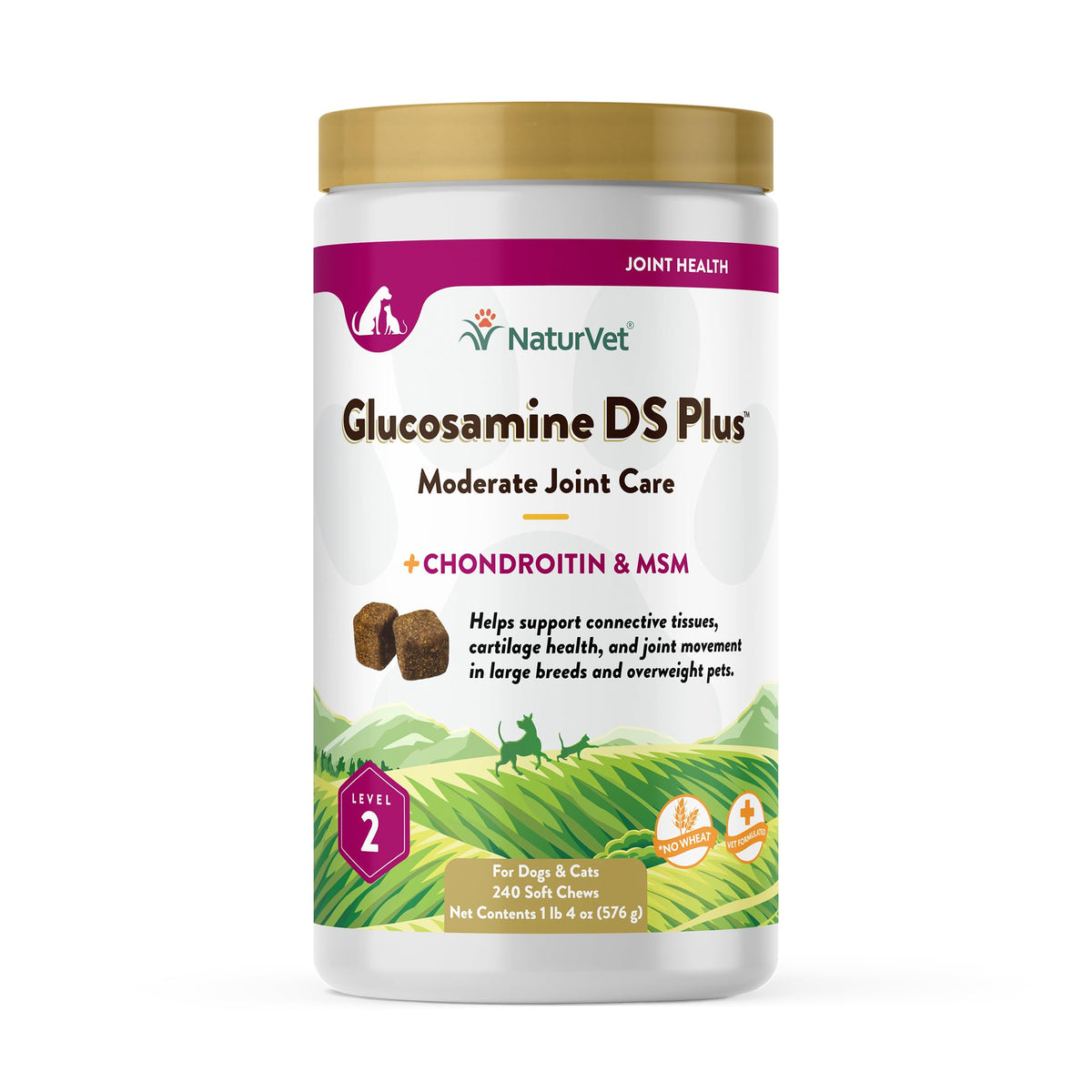 NaturVet Glucosamine DS Plus bottle with joint-support soft chews for dogs and cats.