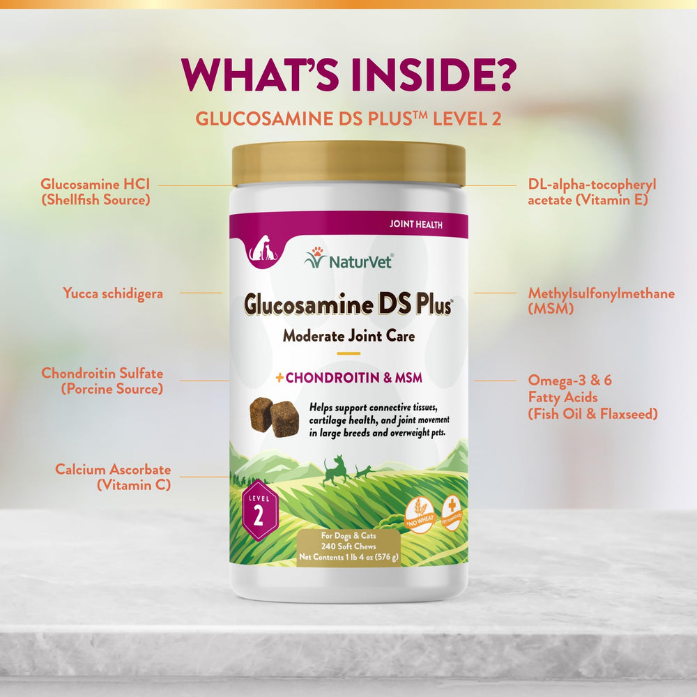 NaturVet Glucosamine DS Plus for cats supports comfortable movement during play.