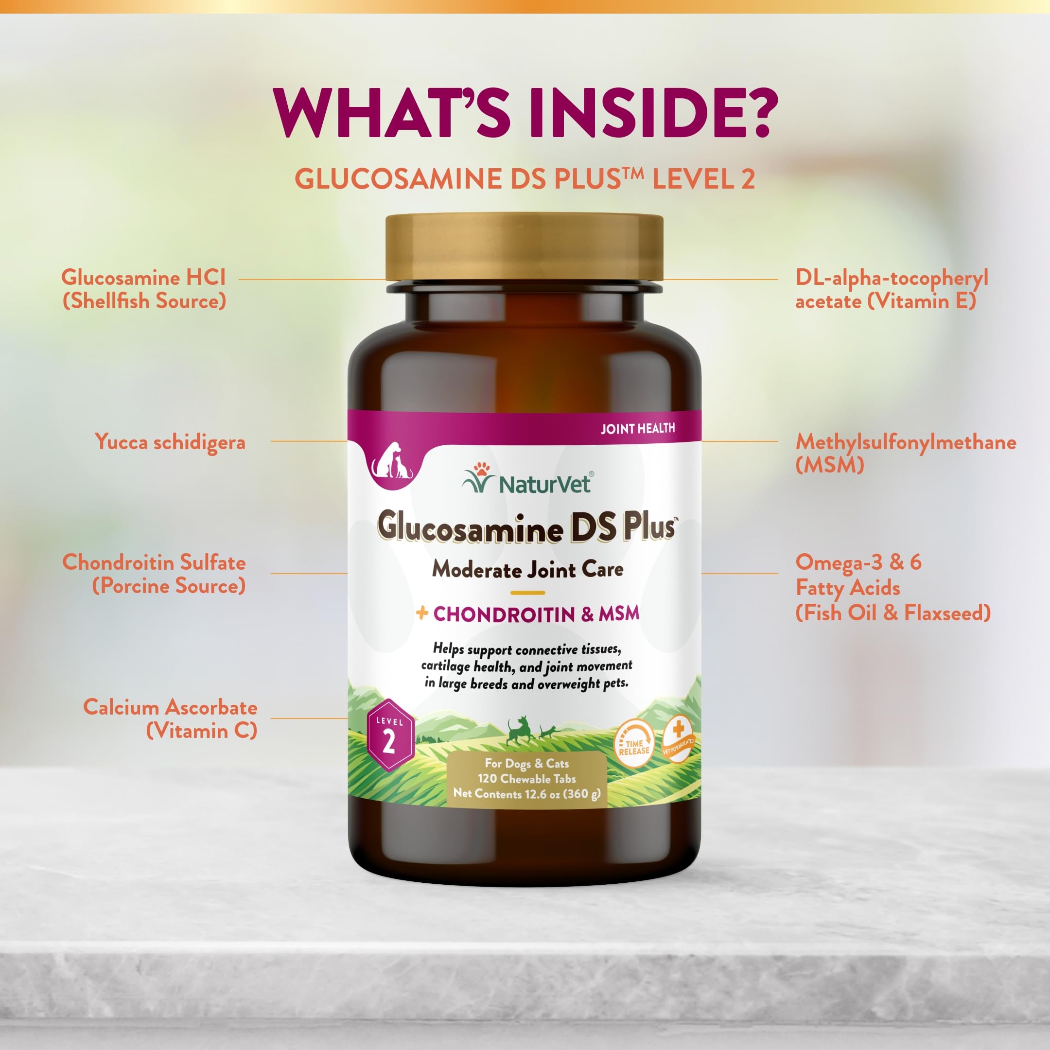 NaturVet Glucosamine DS Plus chewables in hand, easy to administer for dogs and cats.