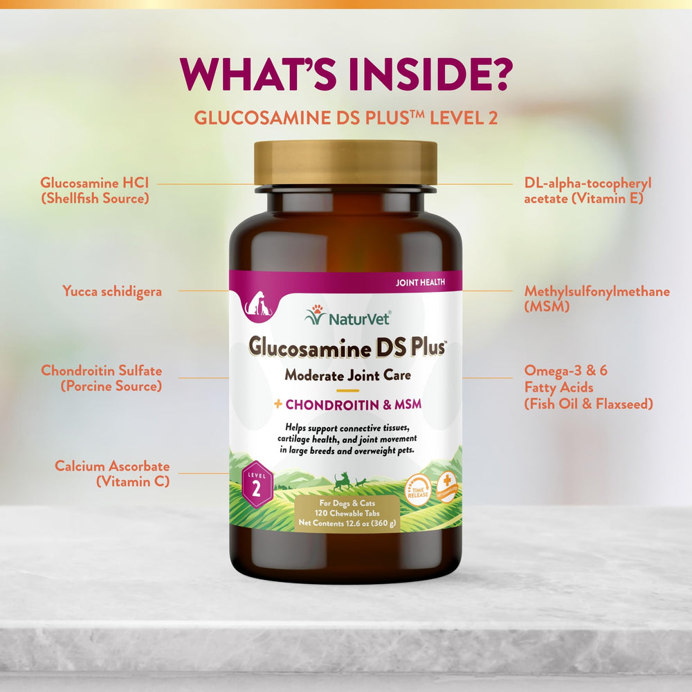 NaturVet Glucosamine DS Plus chewables in hand, easy to administer for dogs and cats.