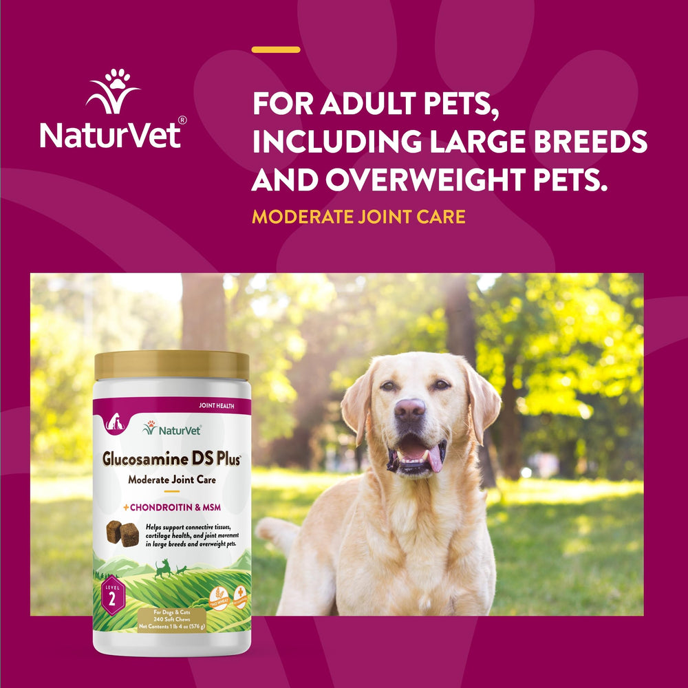 NaturVet Glucosamine DS Plus for dogs supports daily activity and mobility.