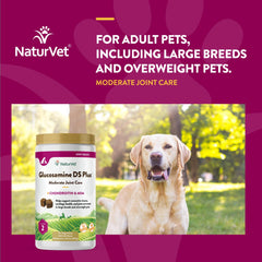NaturVet Glucosamine DS Plus for dogs supports daily activity and mobility.