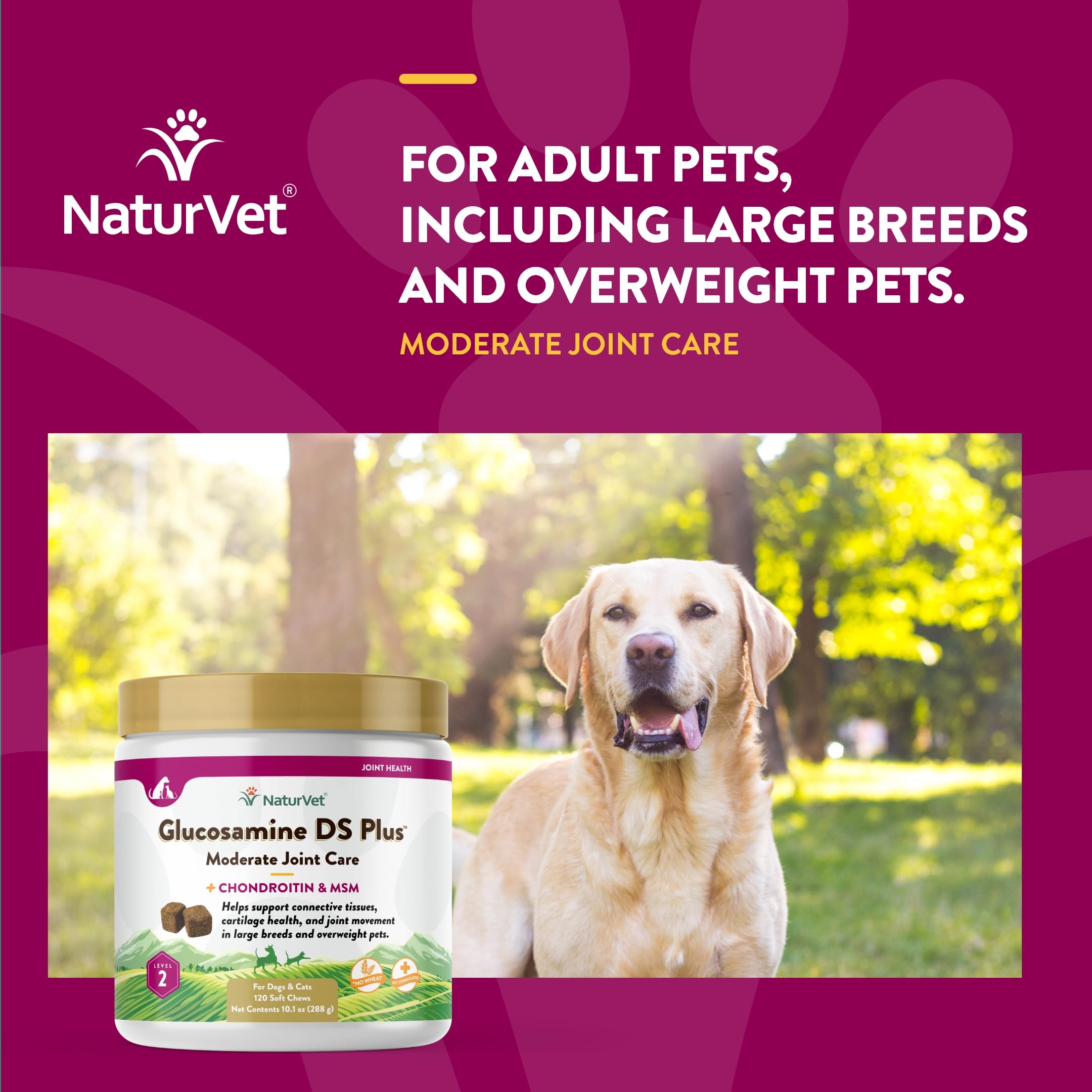 NaturVet Glucosamine DS Plus Level 2 ingredients panel highlighting MSM, chondroitin and antioxidants.