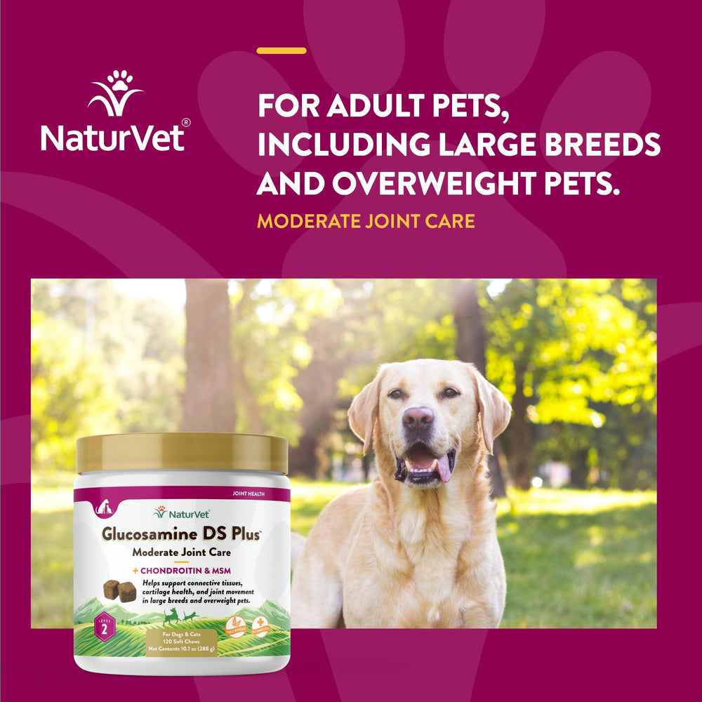 NaturVet Glucosamine DS Plus Level 2 ingredients panel highlighting MSM, chondroitin and antioxidants.