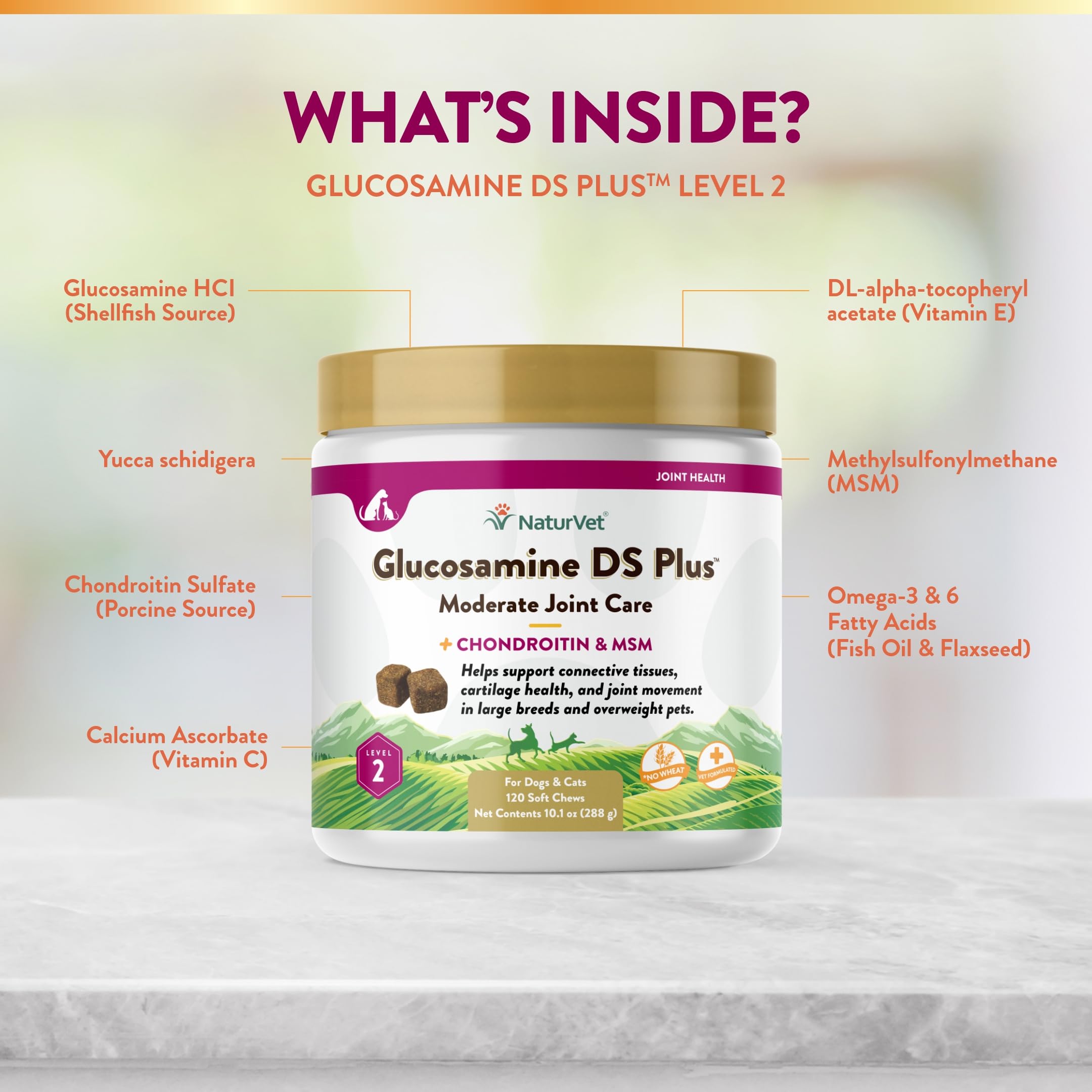 NaturVet Glucosamine DS Plus Level 2 open bottle with chews ready for daily use.
