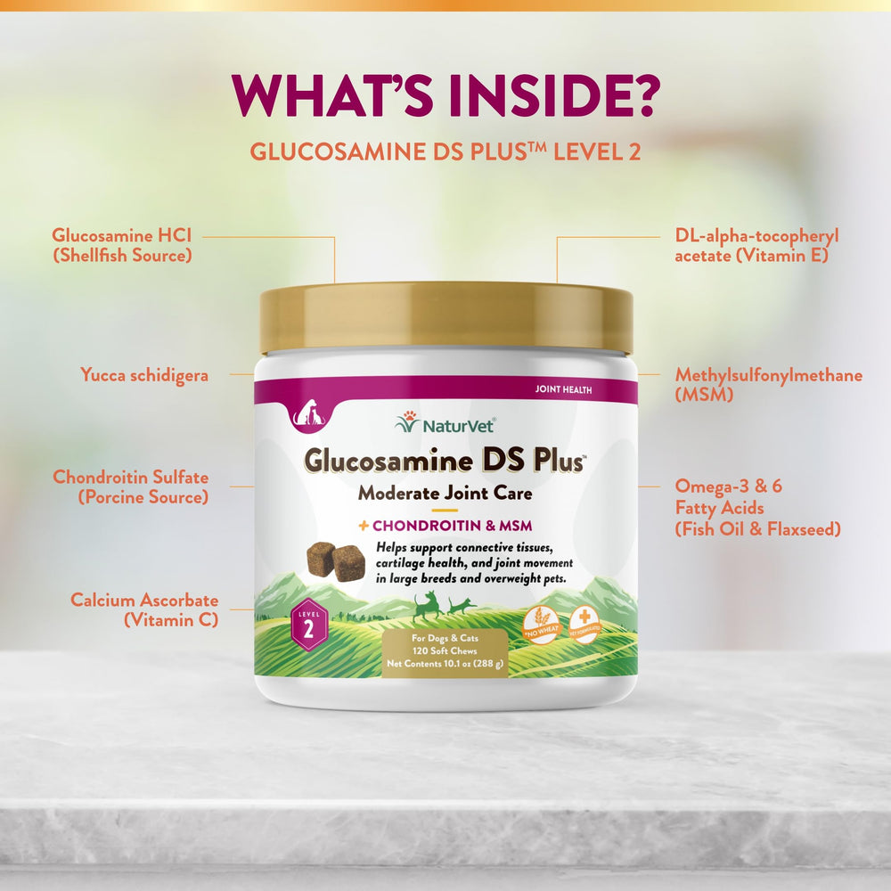 NaturVet Glucosamine DS Plus Level 2 open bottle with chews ready for daily use.
