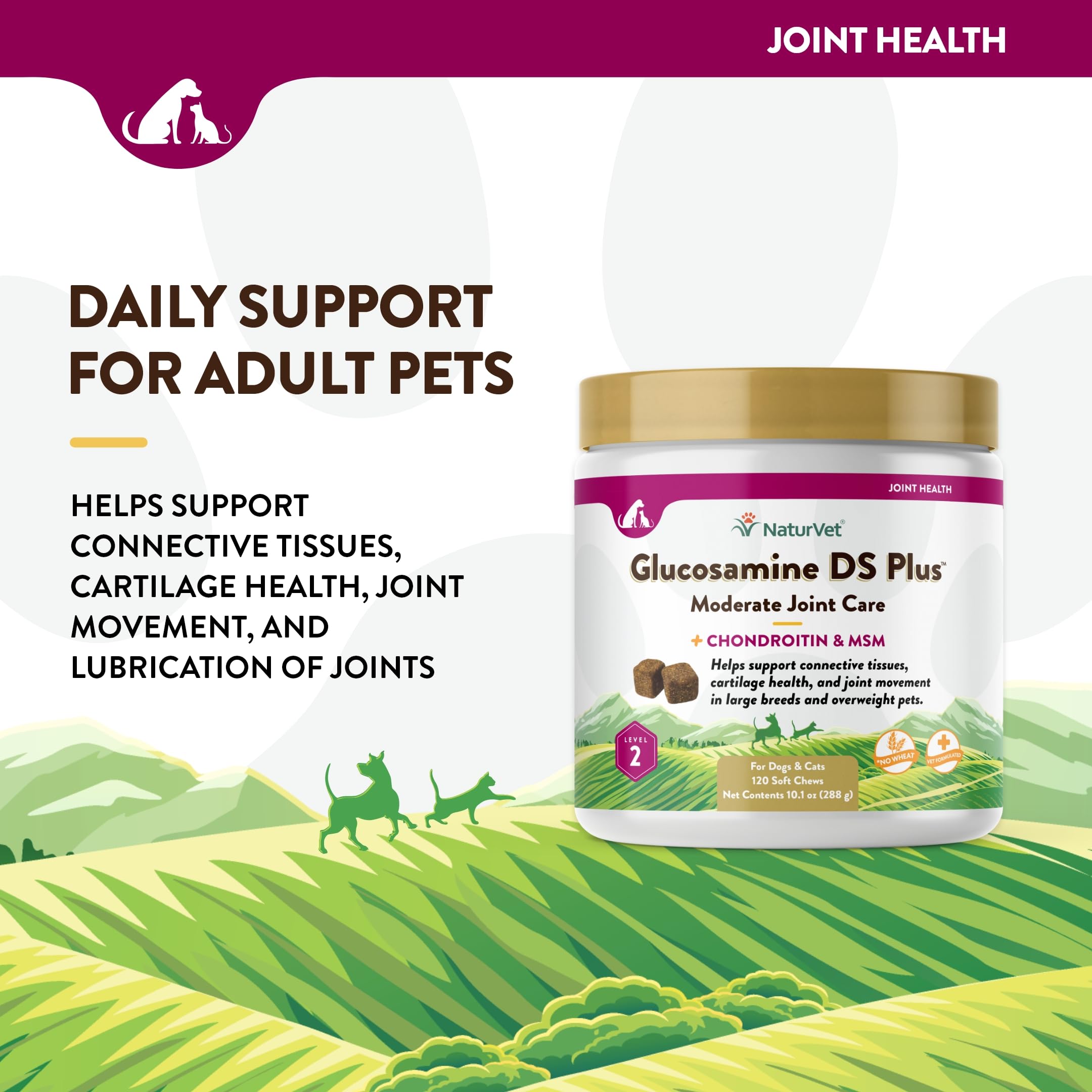 NaturVet Glucosamine DS Plus Level 2 tube and pack for daily joint health.