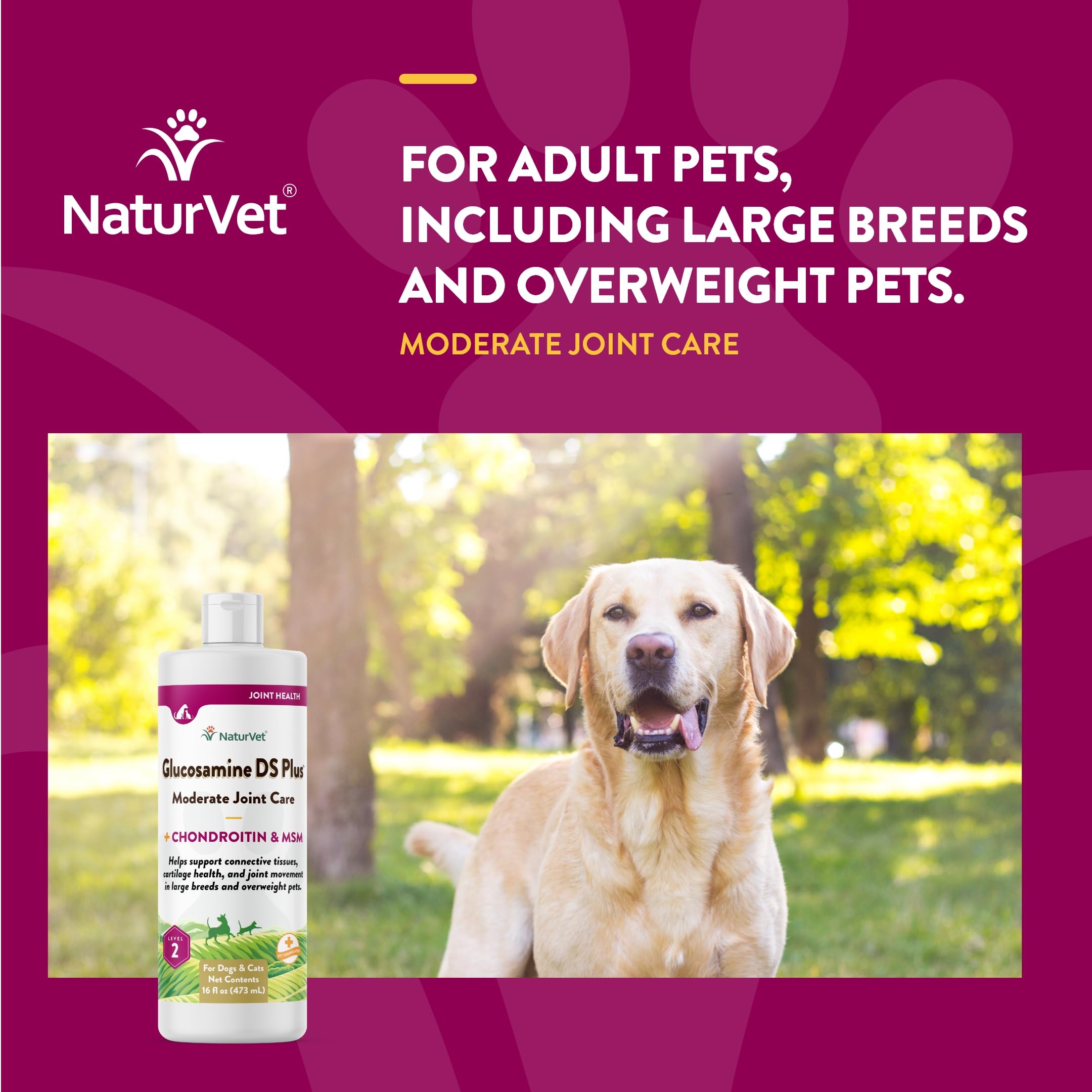NaturVet Glucosamine DS Plus liquid dosing spoon for easy administration