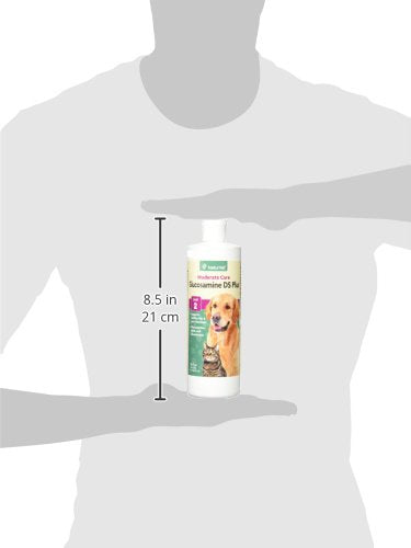 NaturVet Glucosamine DS Plus liquid ingredients label close-up highlights MSM and chondroitin