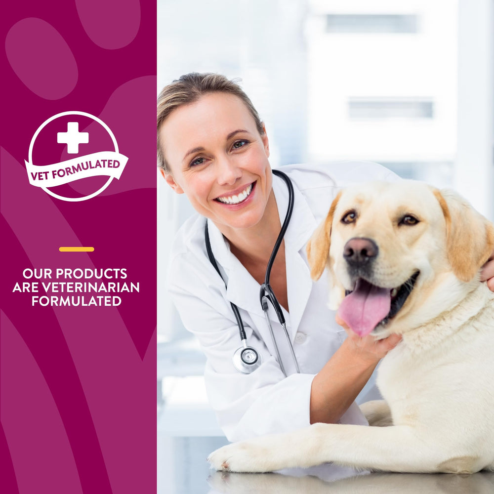 NaturVet Glucosamine DS Plus liquid label highlights joint support benefits