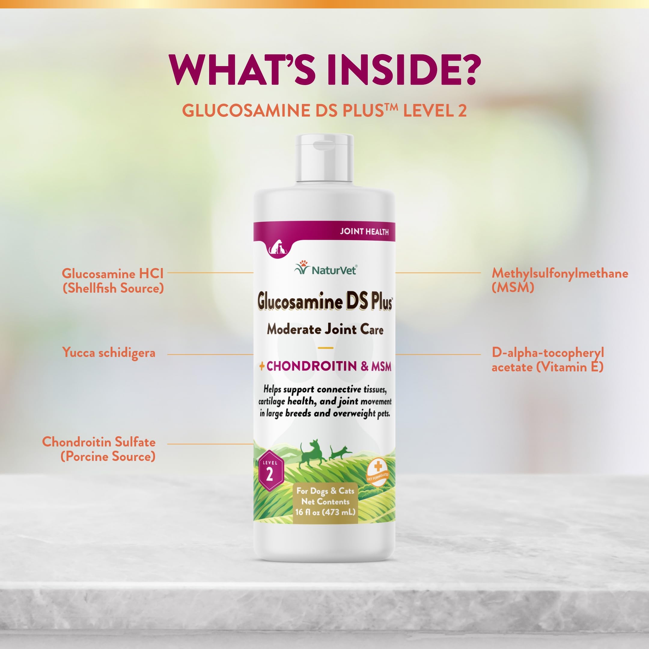 NaturVet Glucosamine DS Plus liquid bottle on shelf supports routine care