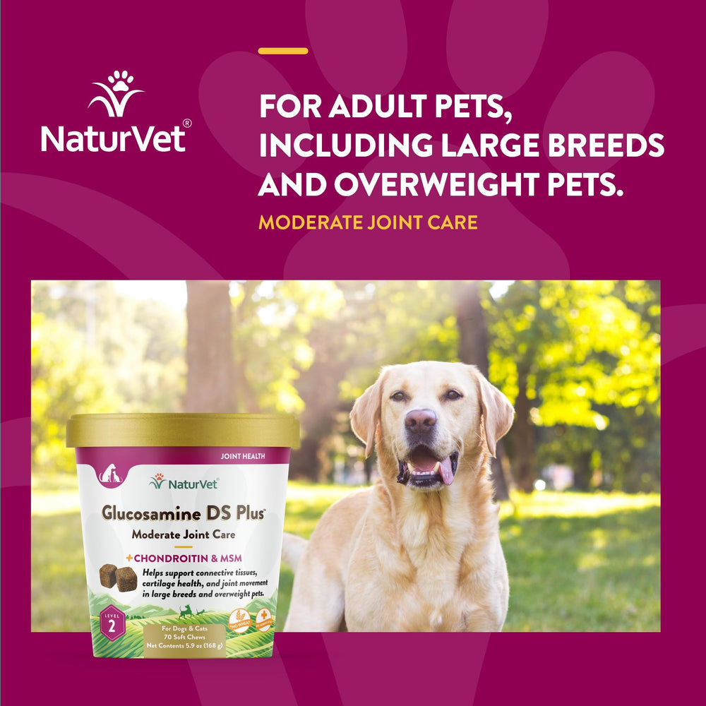 NaturVet Glucosamine DS Plus soft chews closeup texture