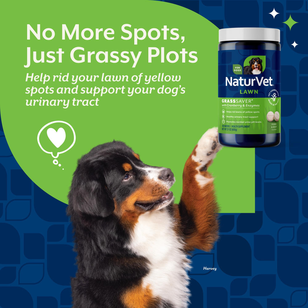NaturVet GrassSaver dog enjoys crunchy wafer during treat time