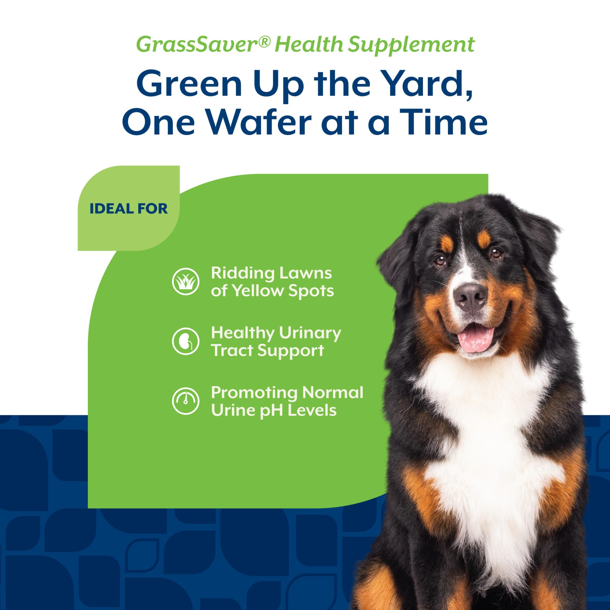 NaturVet GrassSaver impact on lawn color and odor reduction potential