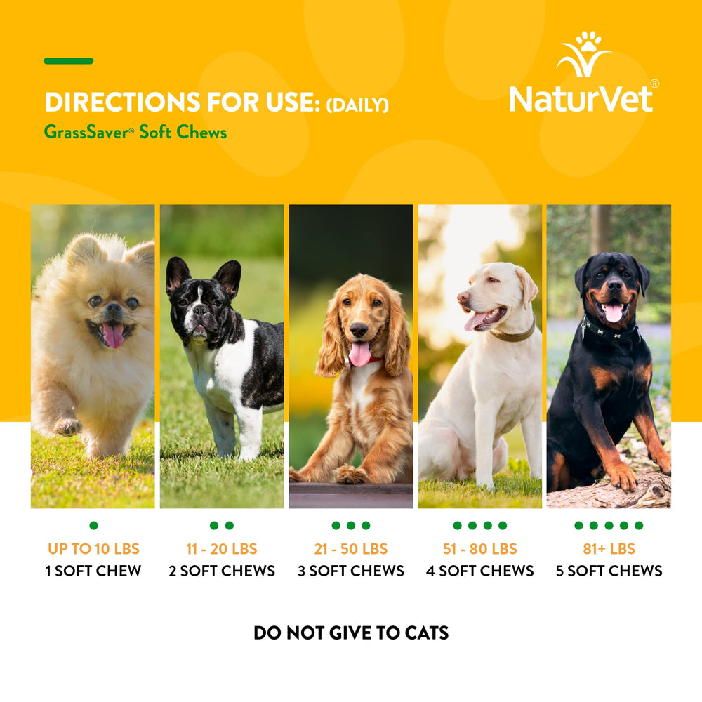 NaturVet GrassSaver being offered during a dog walk on lush grass.