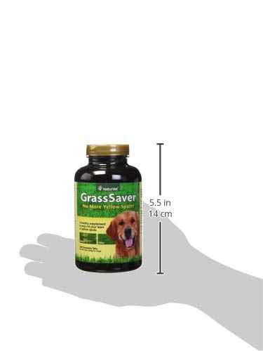 NaturVet GrassSaver soft chews close-up highlighting easy-to-chew texture