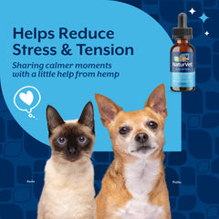 NaturVet Hemp Quiet Moments Drops dropper with clear dosing and soothing potential.