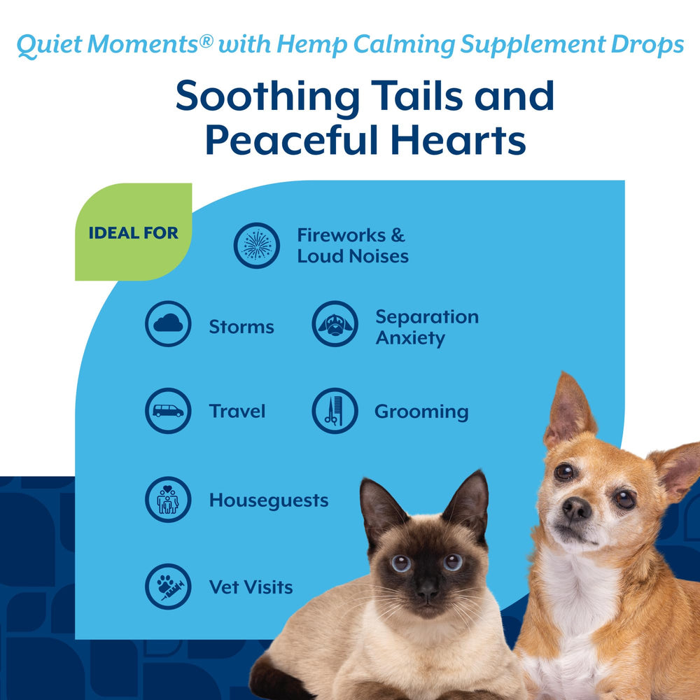NaturVet Hemp Quiet Moments Drops ingredients panel showing hemp seed oil and ginger.